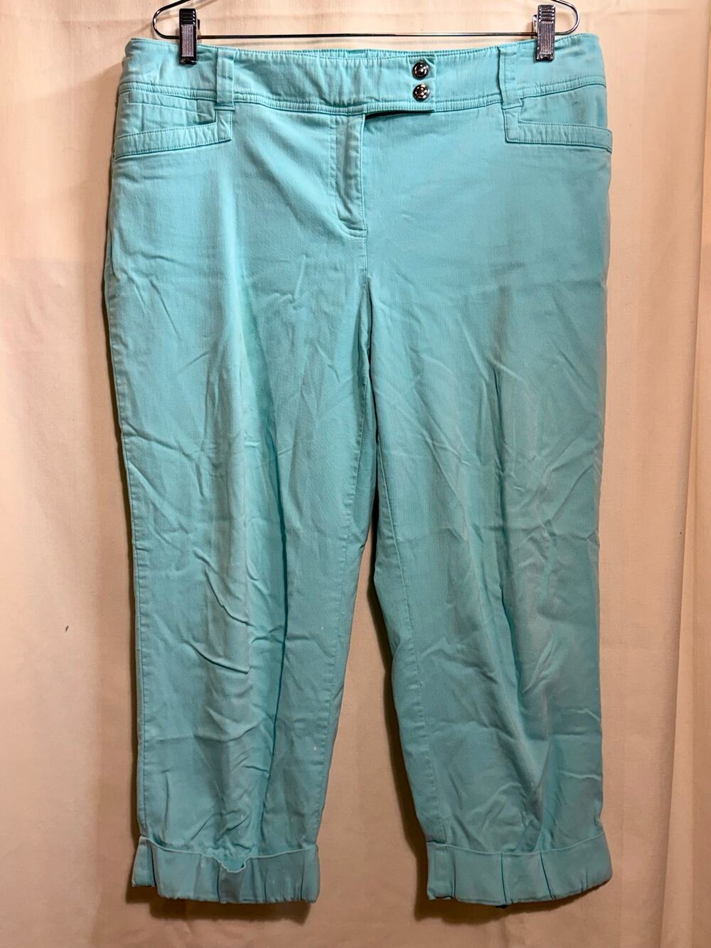 Style & Co Blue Capri Pants Woman’s Size 16.
